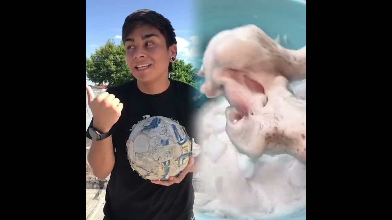🤣👌👌👌2025 pov Must-Watch Crazy Clips Compilation #humor #fypシ #pov #fyp #foryou 😍😜
