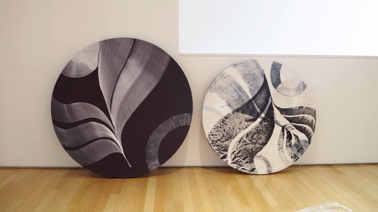 Paradox: Tauranga Street Art Festival / Lucy McLauchlan