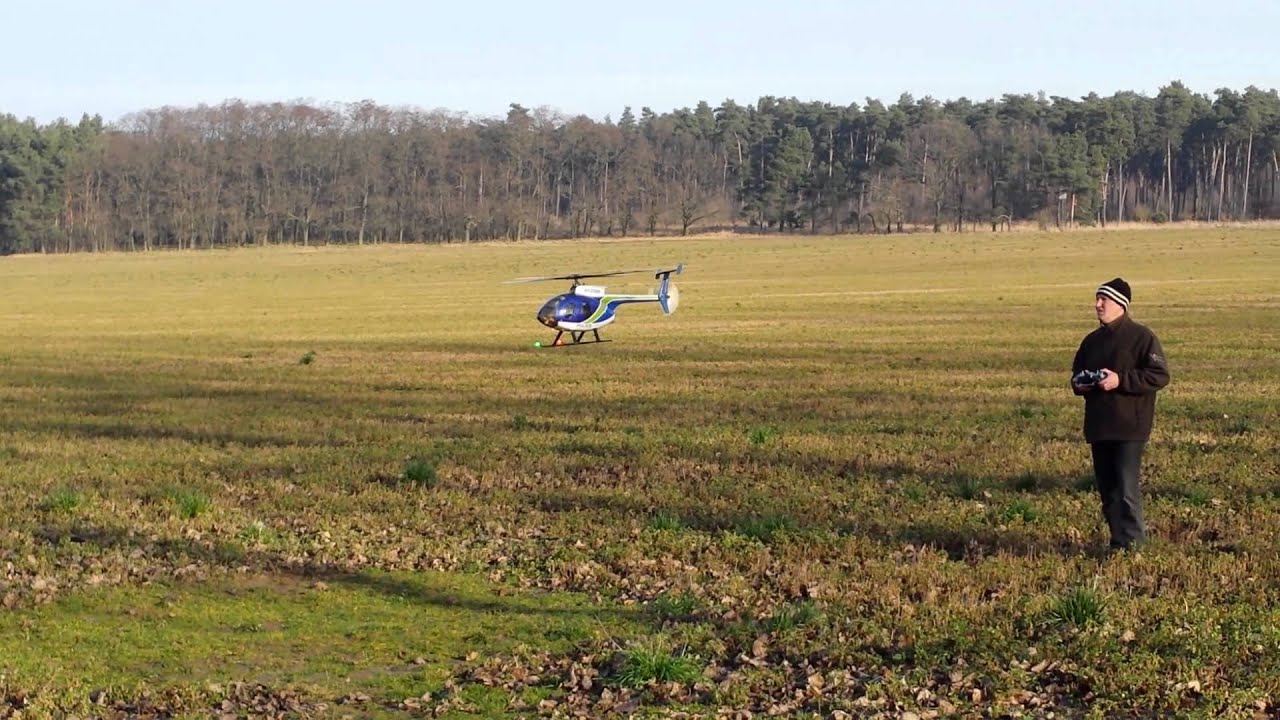 Bunterfisch - 4 Blatt Hughes  500e T Rex 500 esp