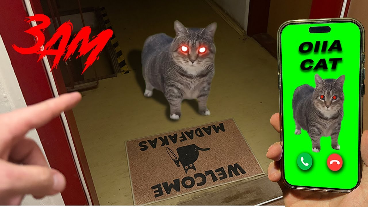 IF OIIAOIIA CAT IS CALLING YOU - RUN ( at 3 am )