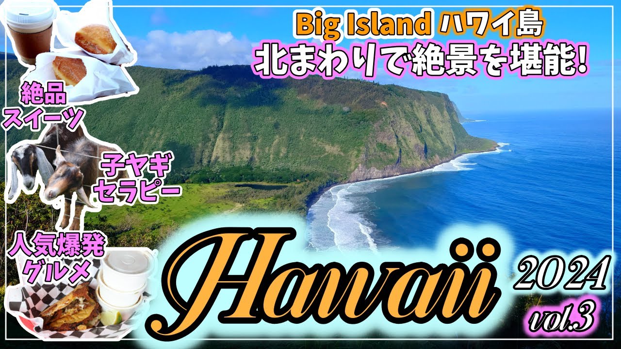 【ハワイ島】子ヤギに癒される！　北回りドライブ ワイピオ渓谷と絶品マラサダ ランチは人気上昇中のメキシカン！【2024年1月#3】
