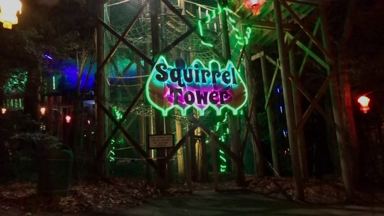 ELECTRIC WOODS