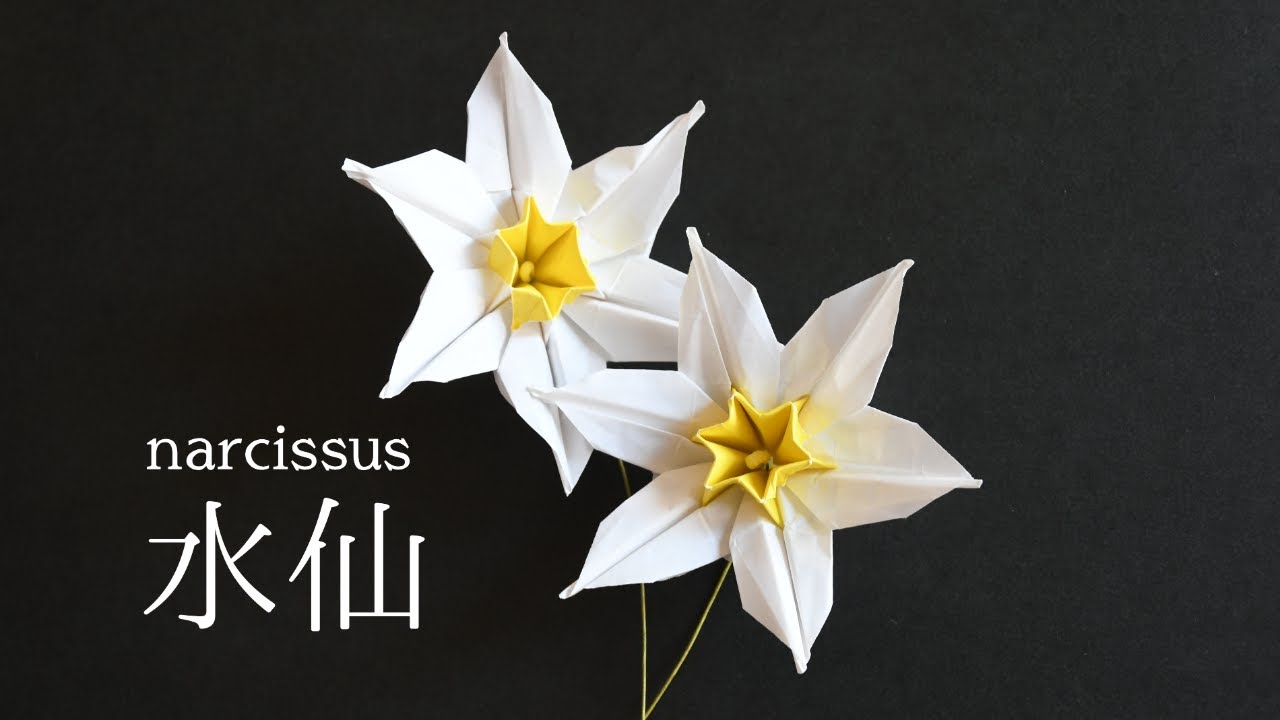 【折り紙】冬にも咲く美しい水仙｜narcissus【Origami】