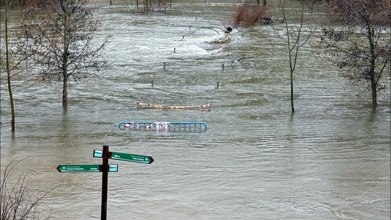 El río Manzanares bajo el punto de mira