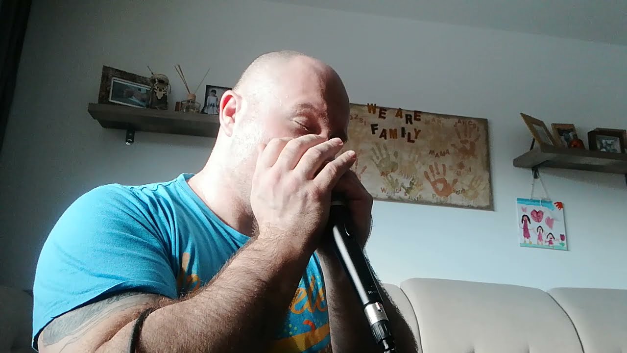 Cheek to Cheek - Harmonica Melody Maker