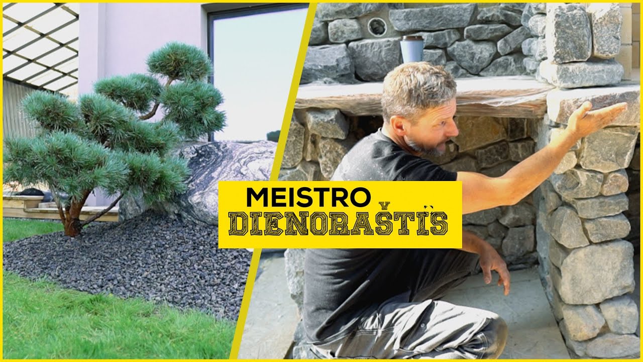 Meistro dienoraštis: šamotinių plytų mūrijimas ir bonsų sodinimas