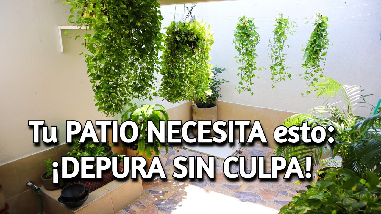 🟣 Cómo LIMPIAR y DEPURAR tu JARDÍN sin REMORDIMIENTOS! |  Planta MIAMI FRONDOSA! | Tips de limpieza!