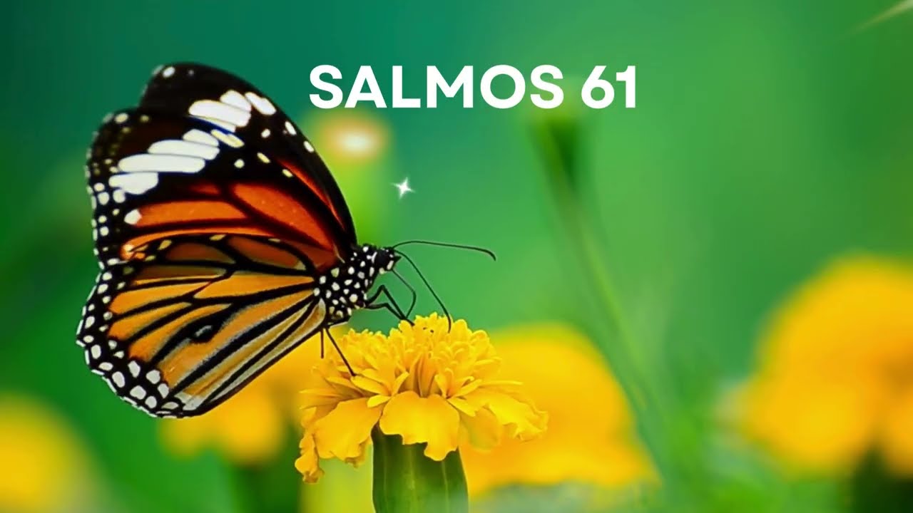SALMOS 61 /Musica cristiana di adorazione a Dios