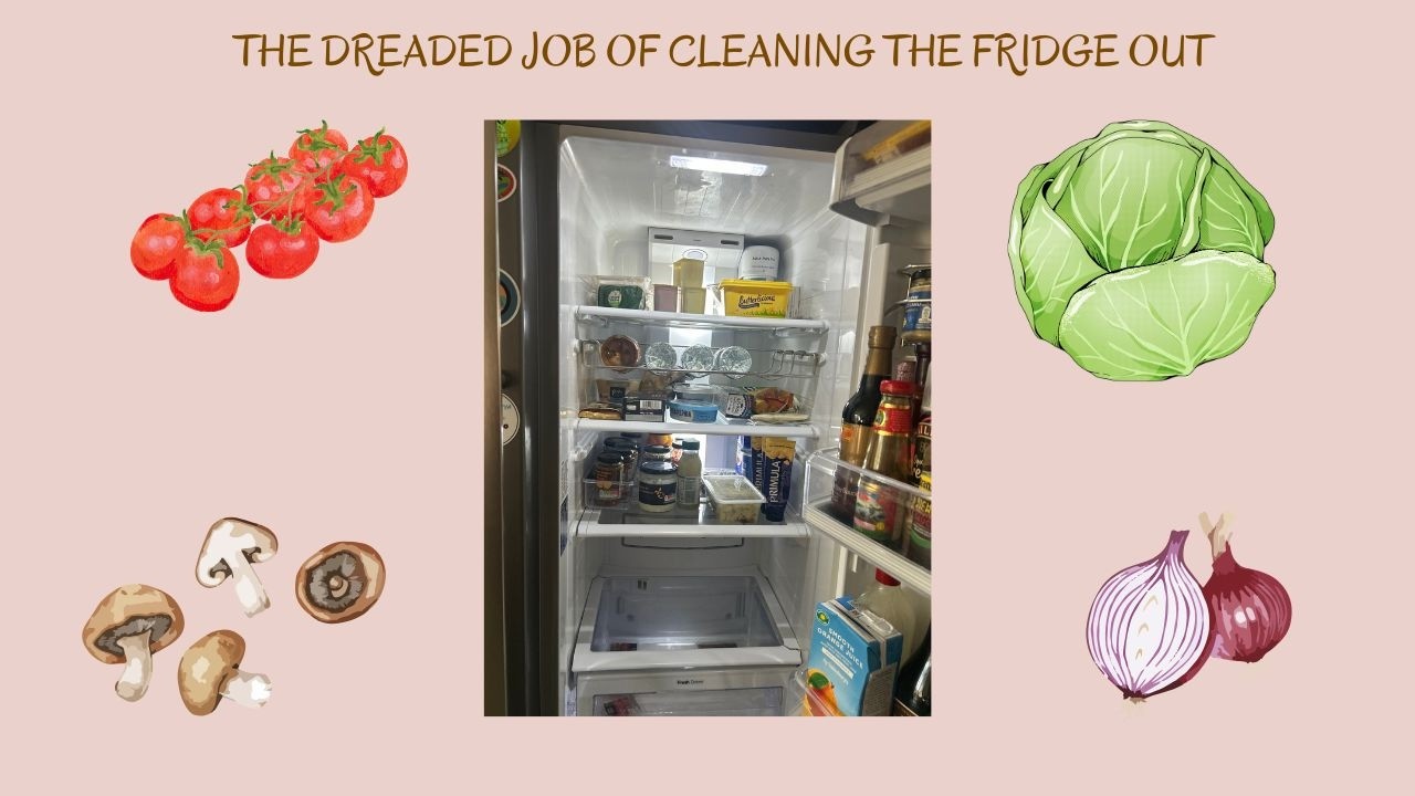 The Dreaded Job of Cleaning My Fridge Out