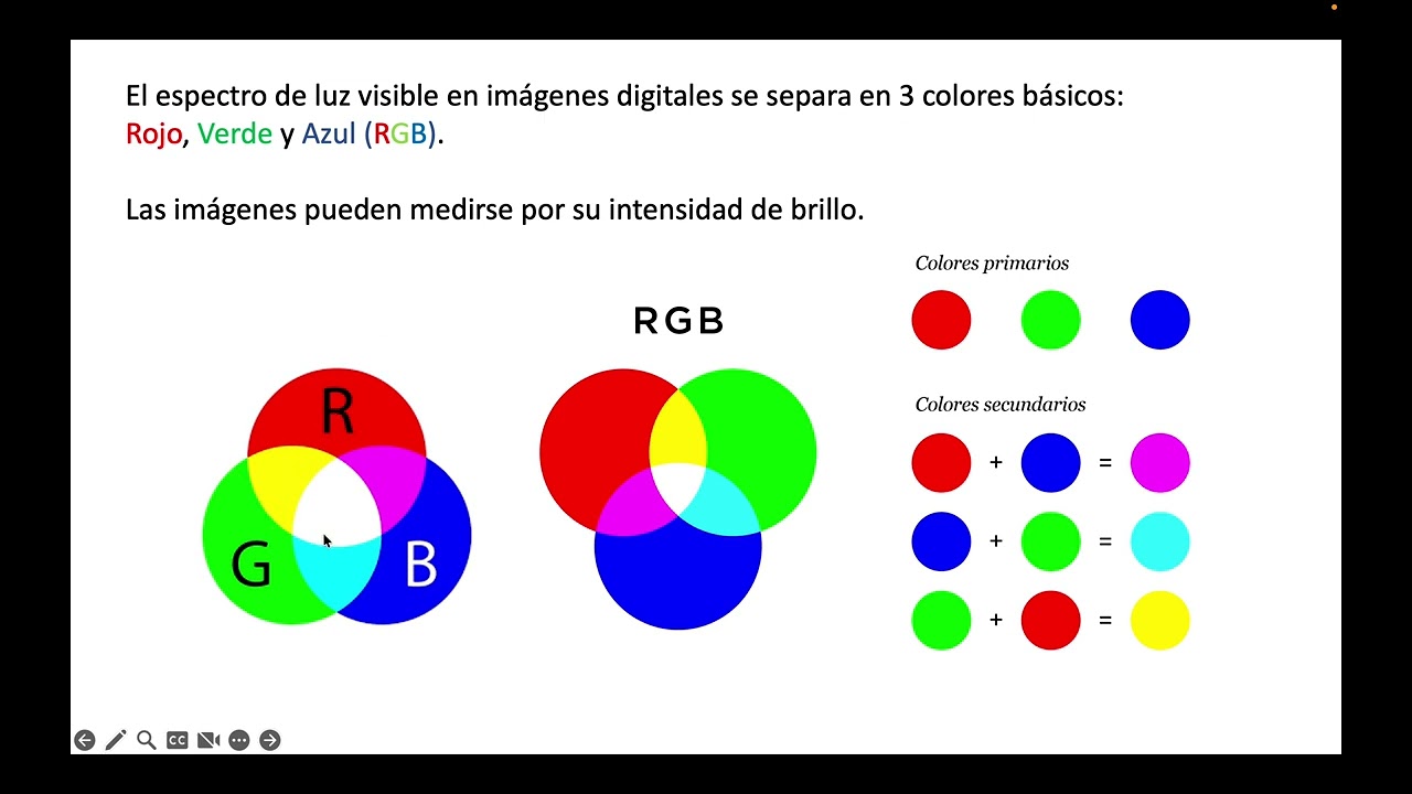 Introducción a la Morfometría con Fiji (ImageJ)