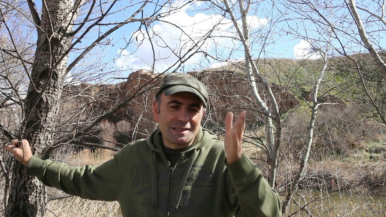 Pico menor