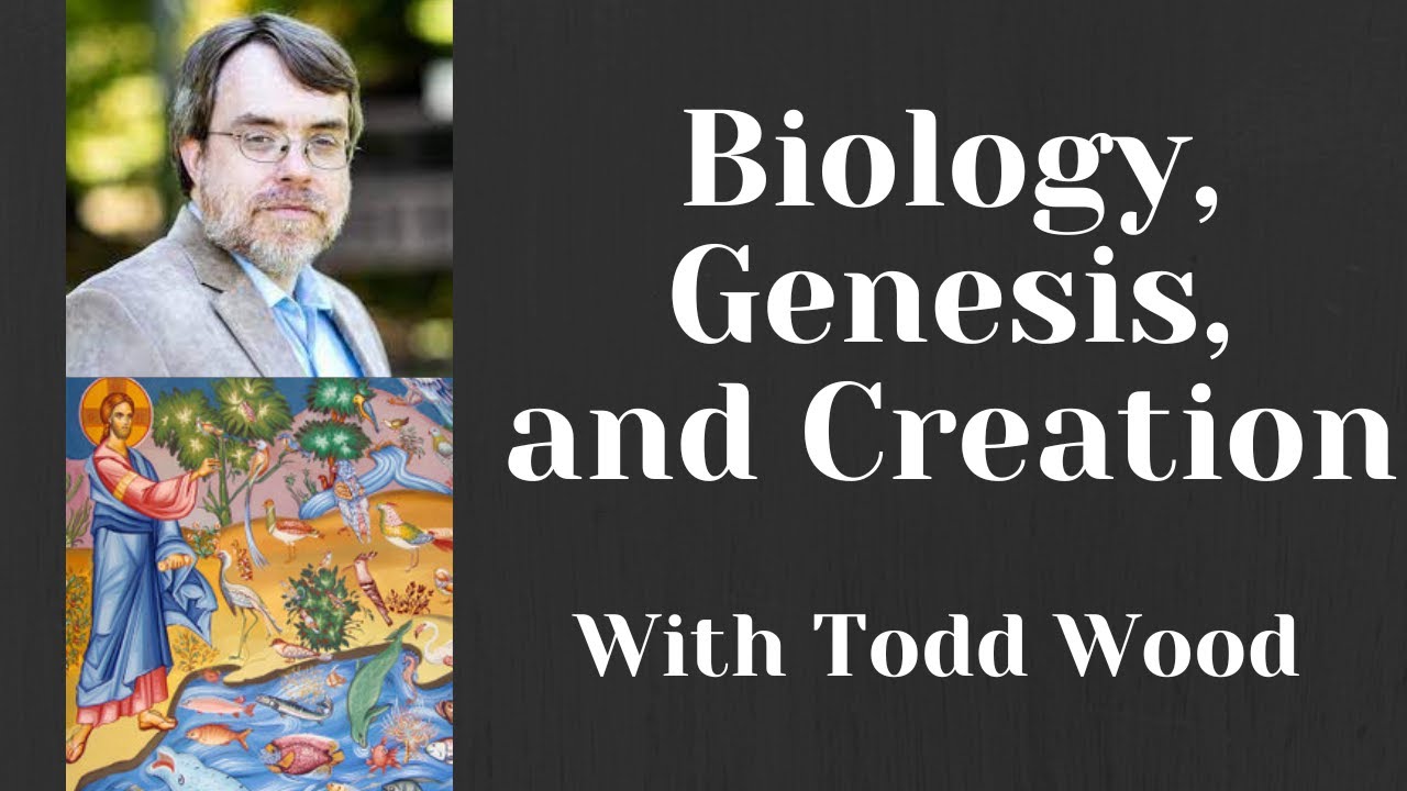 Genesis, Creation, and Biology: A Discussion With Todd Wood