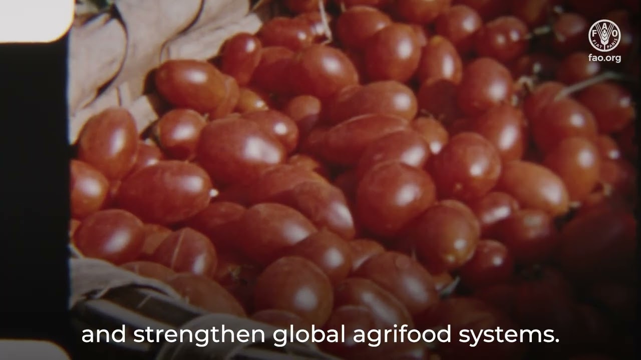 Why Crop Diversity Matters: State of the World&rsquo;s Plant Genetic Resources for Food and Agriculture