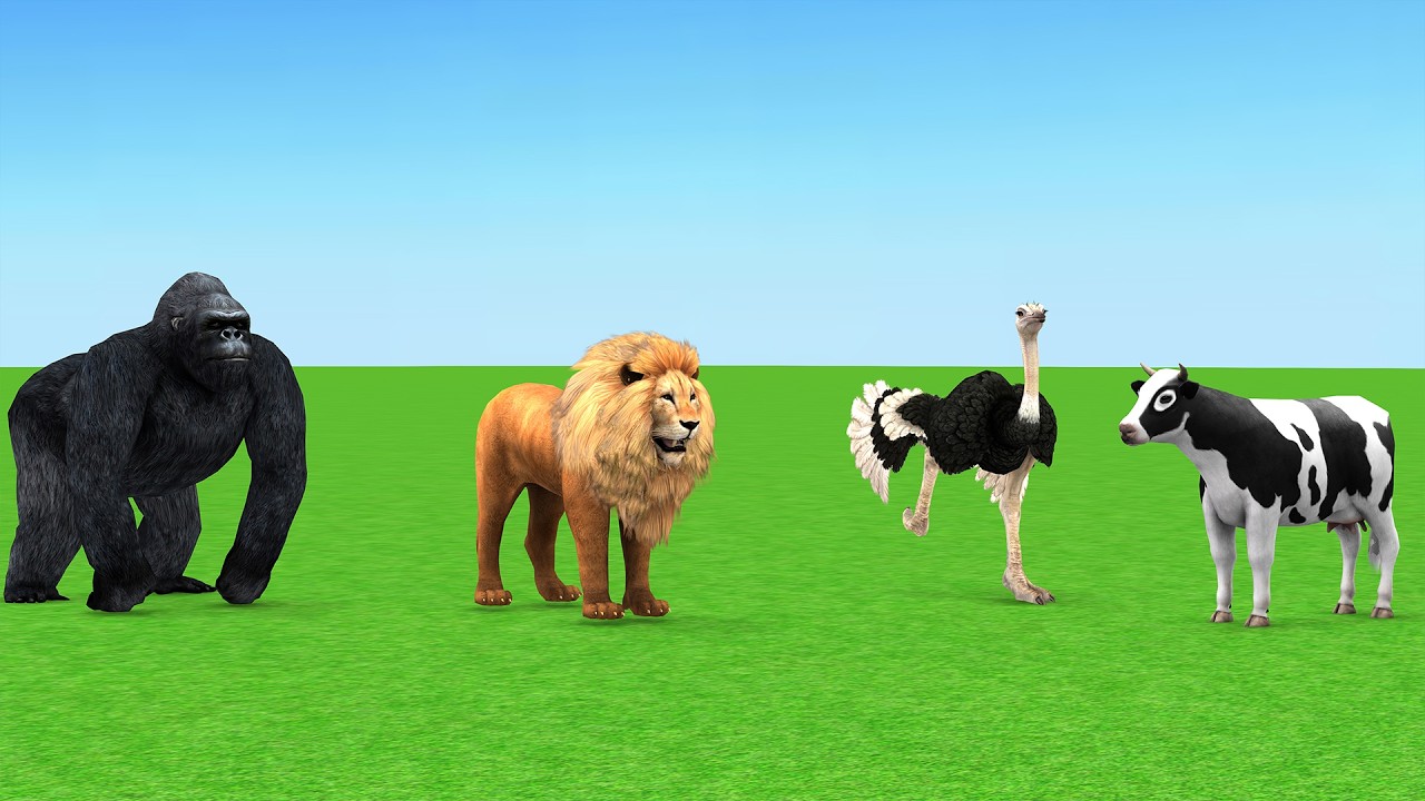 10 Giant Tiger Bull vs 10 Mammoth Elephant Cow Gorilla Fight Cow Cartoon Buffalo Baby Elephant Rescu