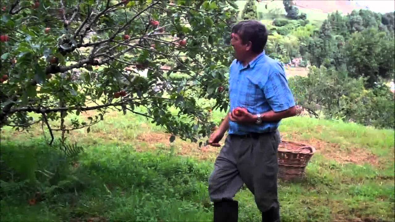 Maças:Agualva 2011