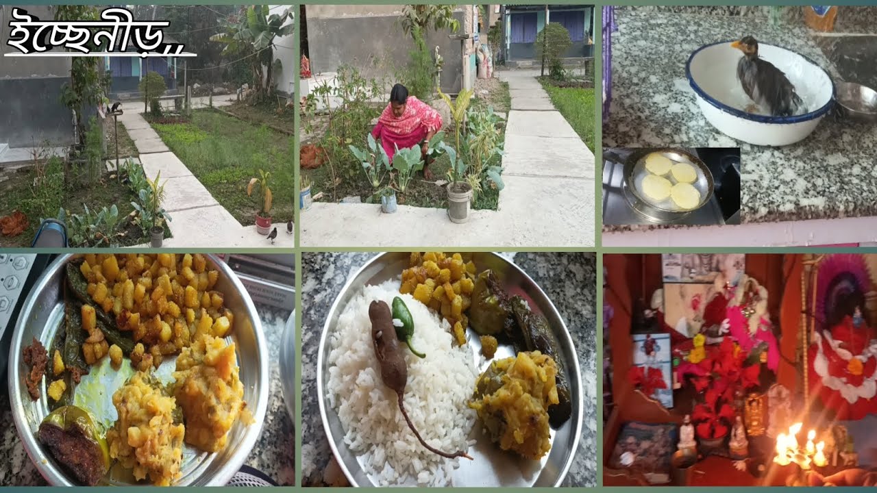 আজ অনেক দিনের মনের ইছা পুরন করলাম #newpost  #bengolividio 