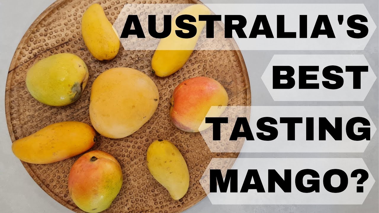 What is Australia's BEST tasting Mango? 5 Variety Comparison Review