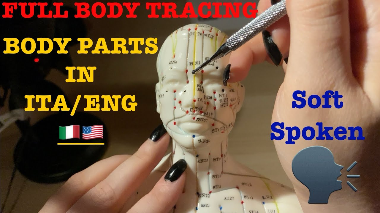 ASMR|⚠️FULL BODY TRACING ON ACUPUNCTURE DOLL W/ ACUPUNCTURE TOOL. SOFT SPOKEN. BODY PARTS IN ITA-ENG