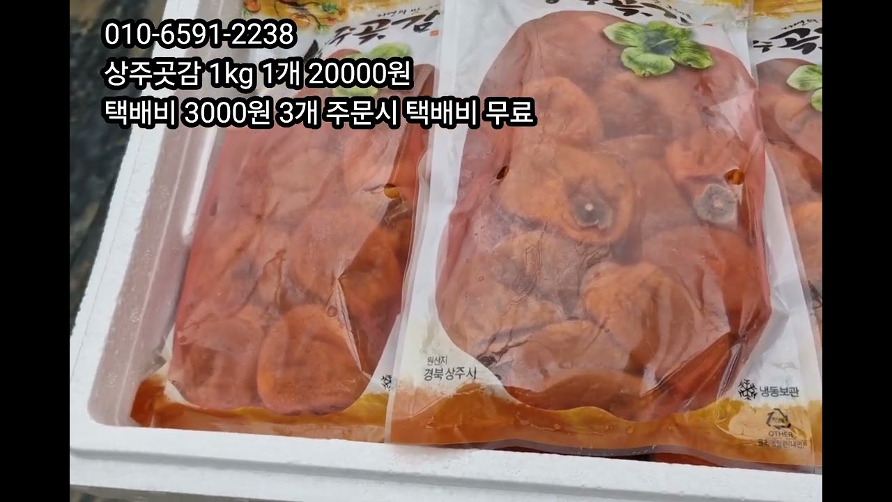 2026년1월19일