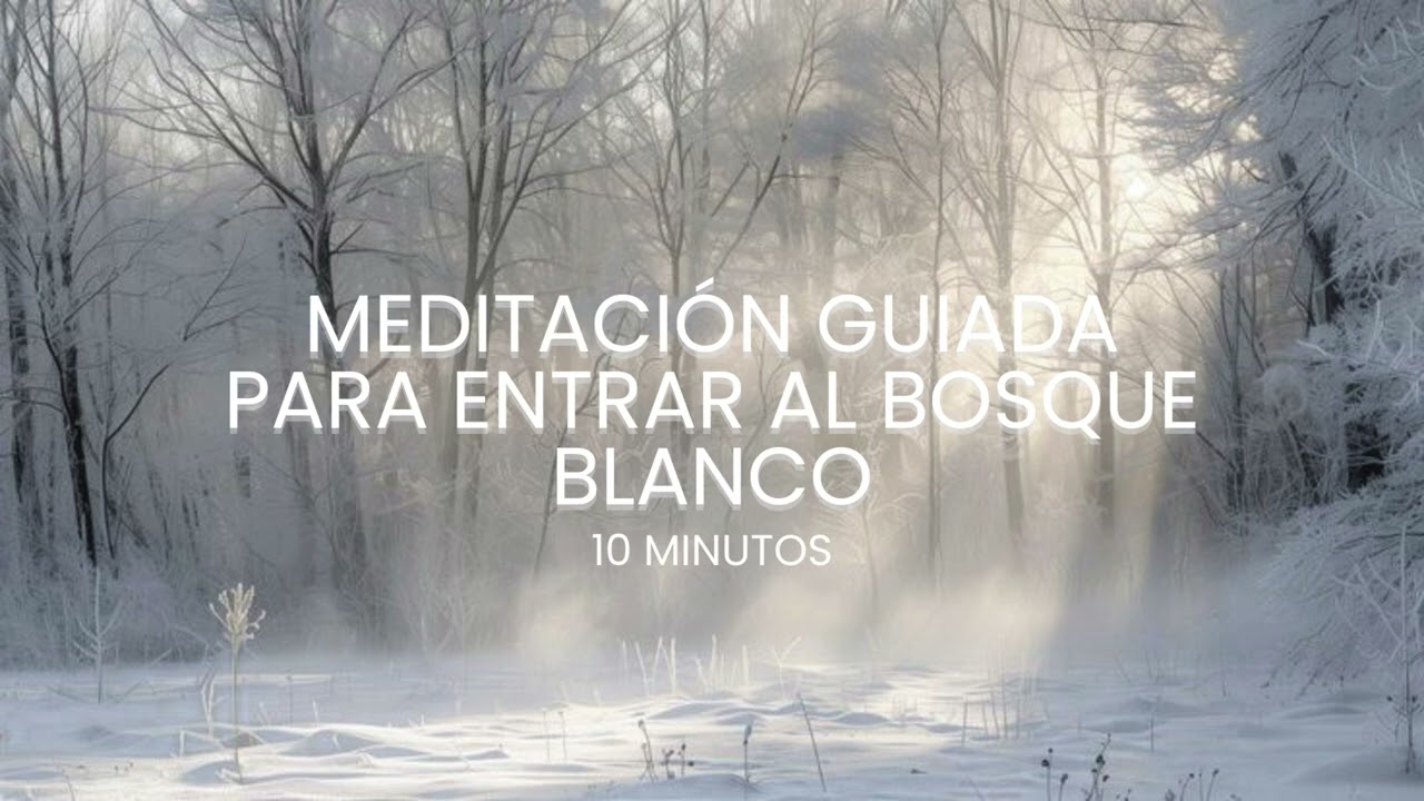 Meditación guiada 10 minutos para entrar al bosque blanco | Seguridad y paz.