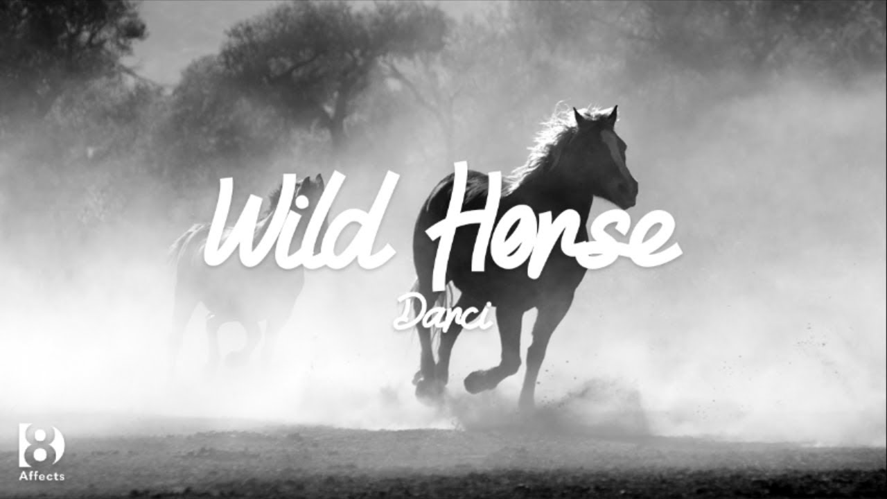 Darci - Wild Horse (SLOWED & REVERB - 8DAffects Remix)