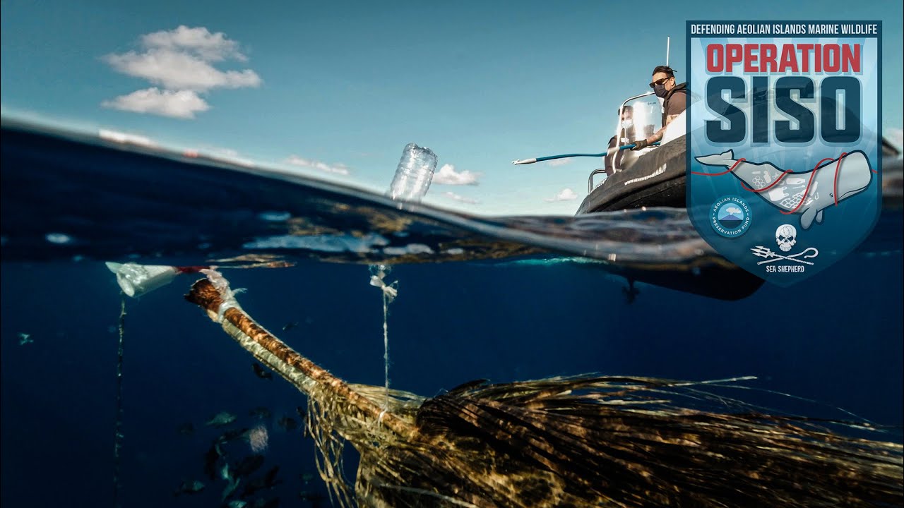 Pesca illegale, nuova tecnica di intervento per difendere il Mediterraneo