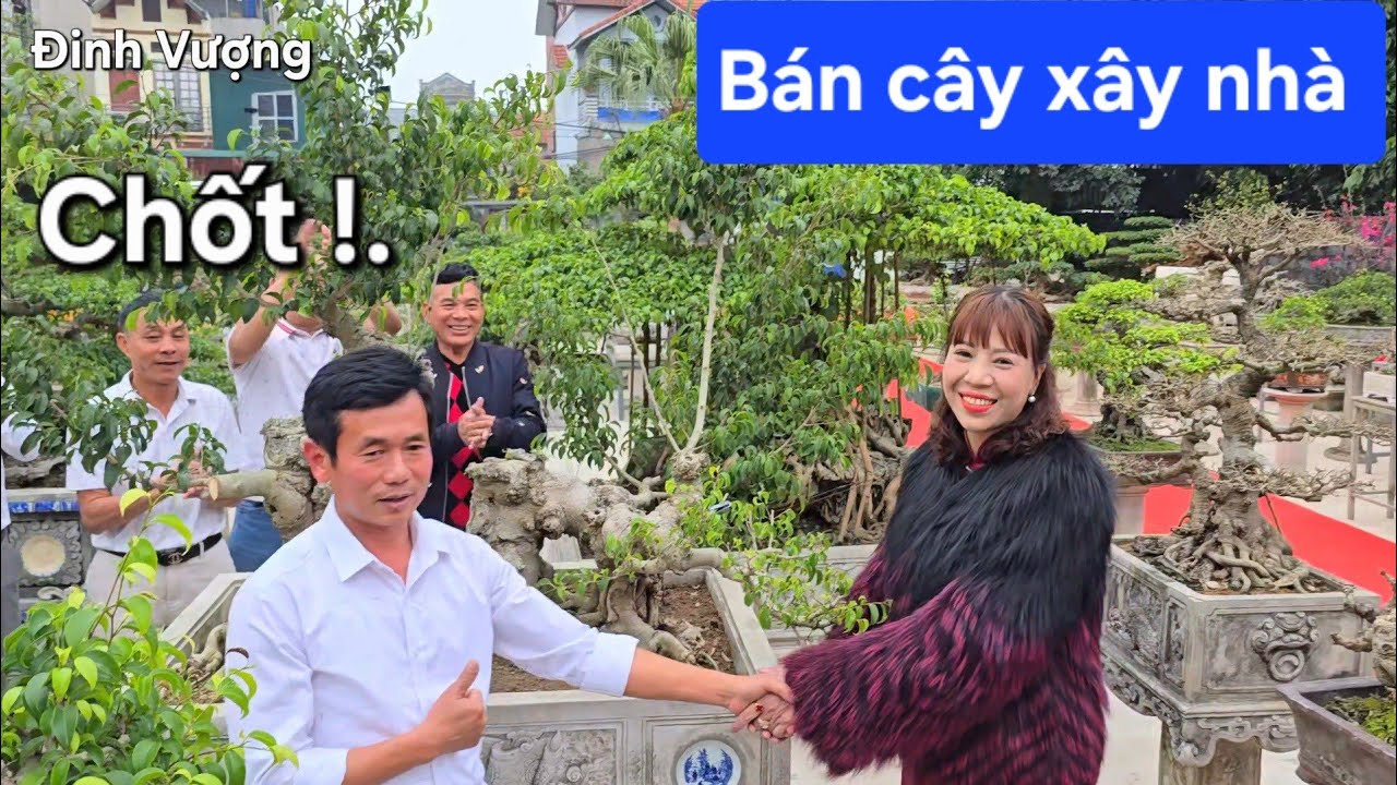 Em gái xinh bán cây xây nhà tiền tỷ  !.Cười tươi như hoa