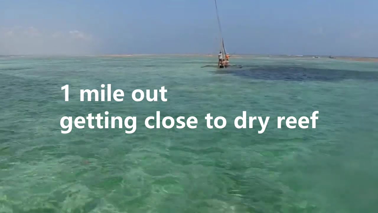 Windsurf & fishing in Zanzibar