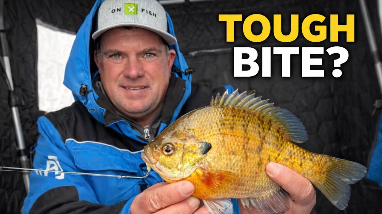 Midwinter Panfish Secrets: Light Line, Tiny Tungsten & Spring Bobbers for Tough Ice Bites