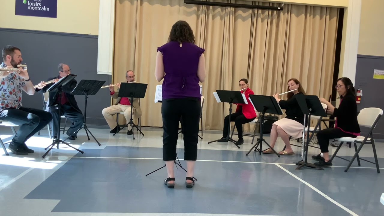 Mozart - The Magic Flute Overture for flute choir