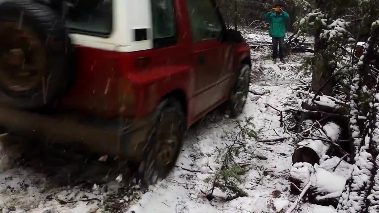 Ferdi against a tree with lots of room - March 2015