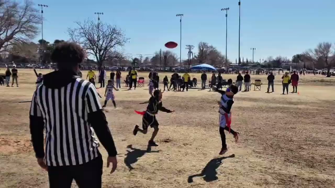 Wolverines vs Pirates