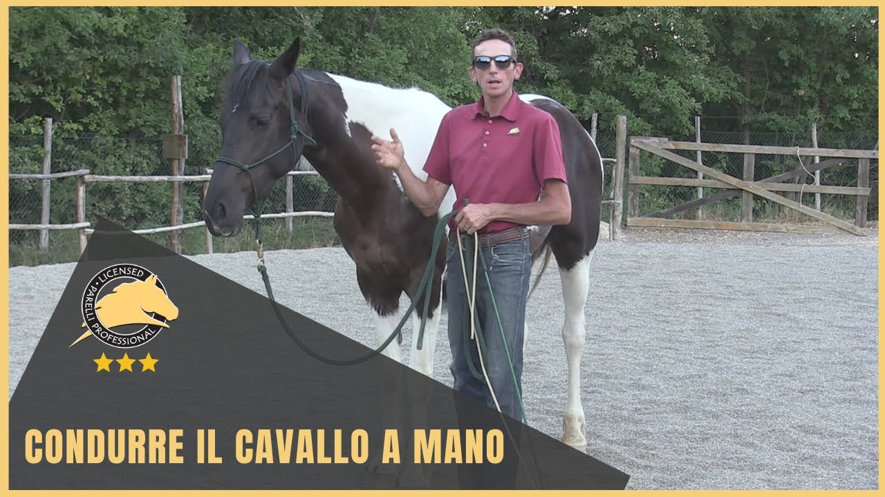 Condurre il cavallo a mano