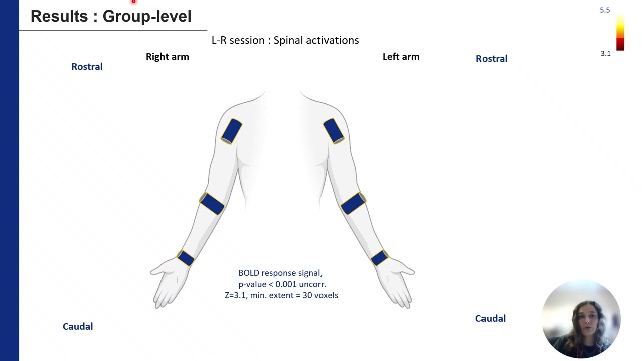 OHBM 2023 | 3012 | Talk | Raphaëlle Schlienger | Mapping human proprioceptive projections of the u…