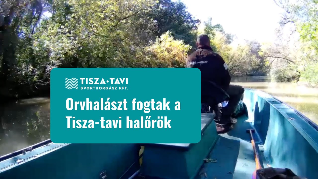 Orvhalászt fogtak a Tisza-tavi halőrök
