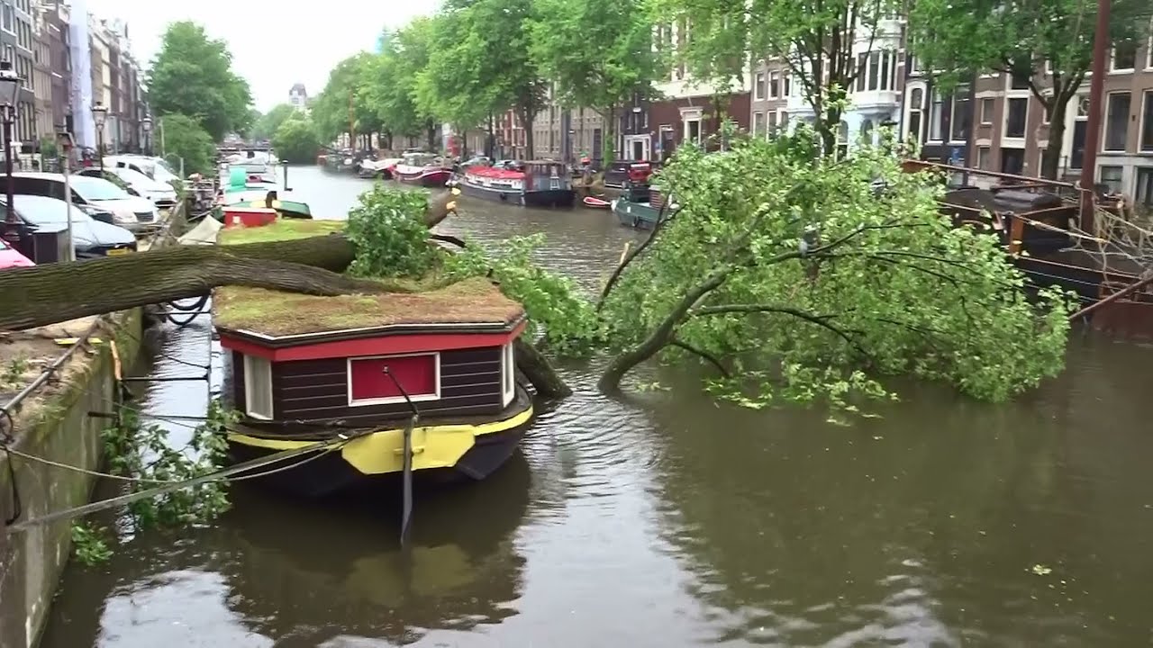 Code Rood in Amsterdam: storm Poly raast over de stad, gevolg veel omgewaaide bomen
