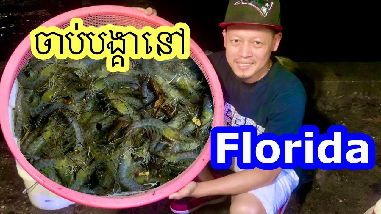 ស្ទូចបង្គានៅ Florida ហើយធ្វើម្ហូបញុំាទាំងយប់ 11PM .