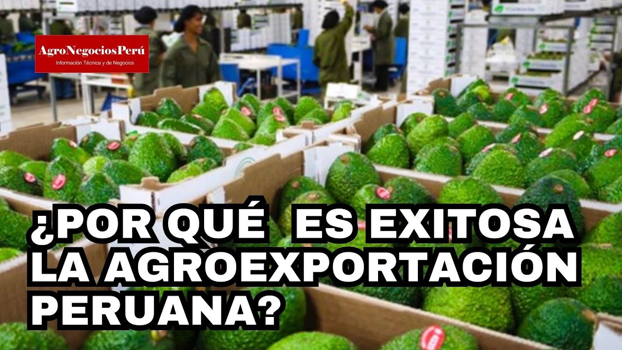 Estas son las razones del éxito de las agroexportaciones peruanas