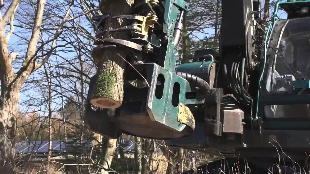 Salgsfilm Brdr Willemoes Skovservice, totall&oslash;sninger inden for skovbrug