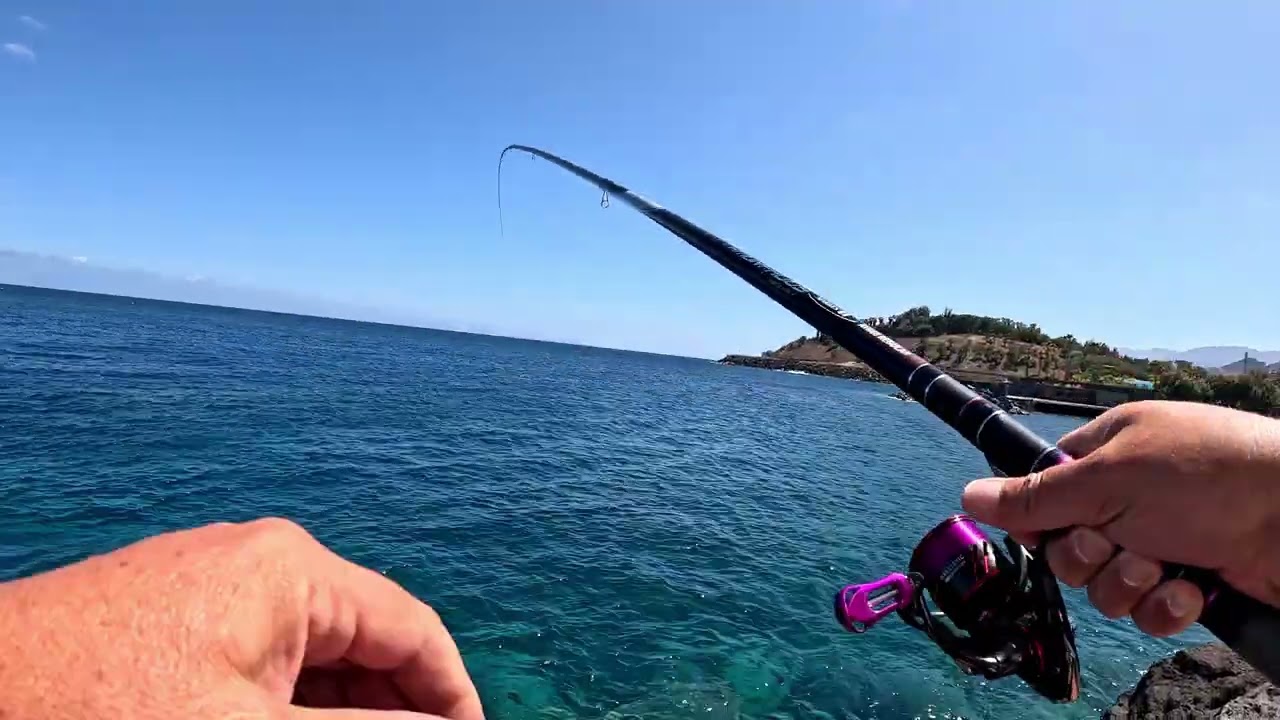Corcheo mar pesca boloñesa bolognese daiwa amorphous bi regular 6m 