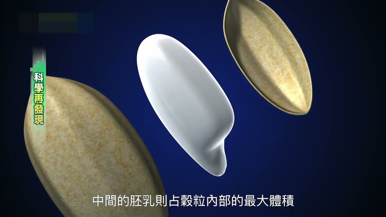 科學再發現&mdash;全穀食物營養含量高 營養師「一天一餐全穀最好」－民視新聞