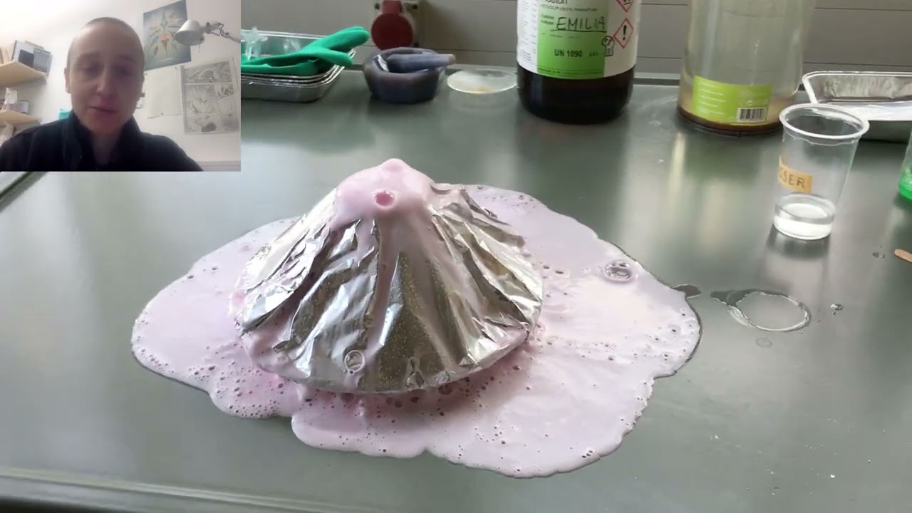 Vulkanherstellung und Führung durch das Labor der Paläobiologie