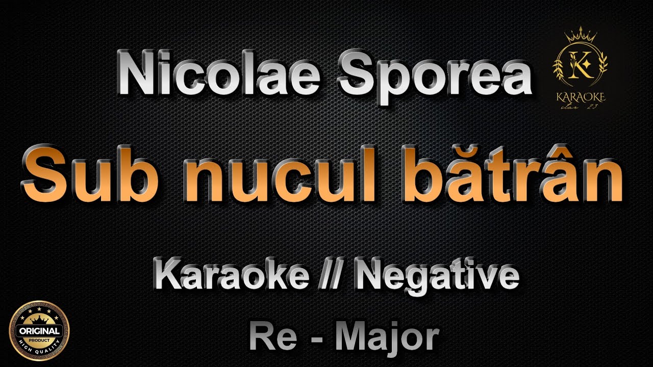 Nicolae Sporea - Sub nucul bătrân // Karaoke // Negative // Re - Major