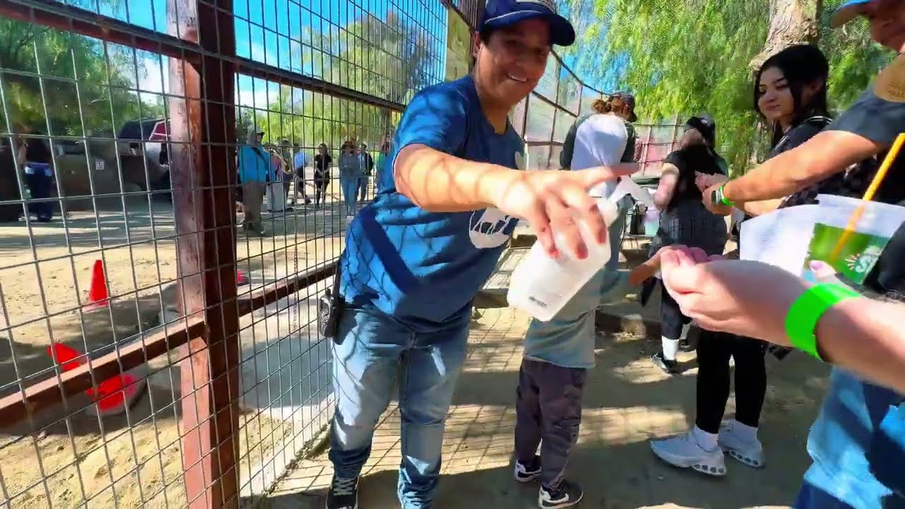 The Gentle Barn Experience 🐮 Most Peaceful Animal Sanctuary in Southern California