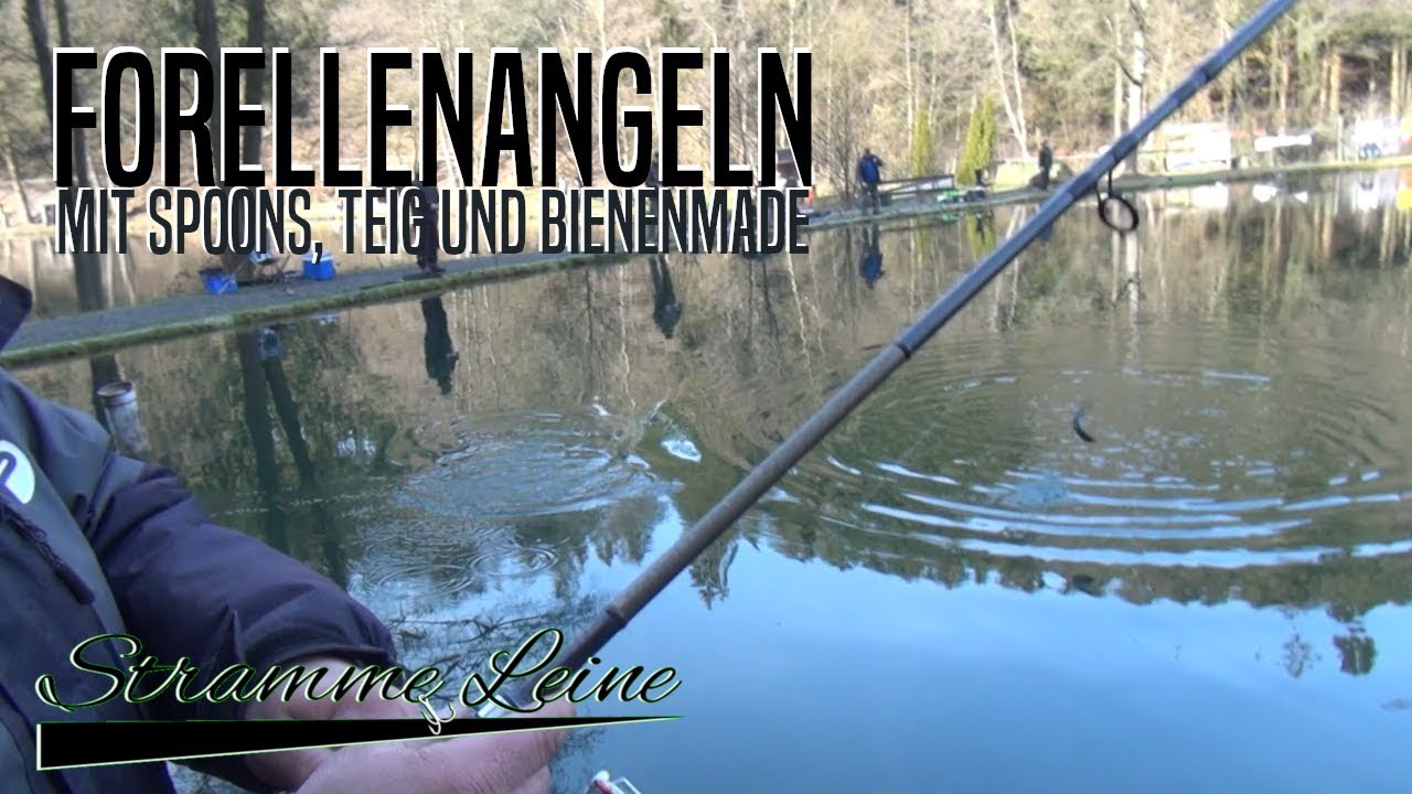 FORELLENANGELN - Mit SPOONS, TEIG und BIENENMADE auf FORELLE
