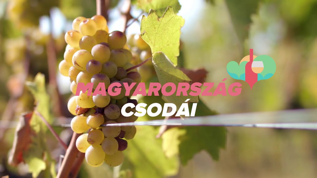 Magyarország Csodái: Tokaj