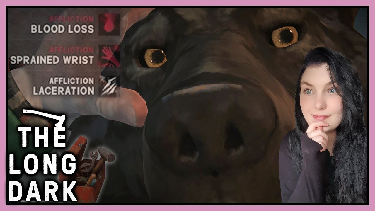 Ash Canyon Here I Come - The Long Dark (Custom Survival Mode Gunloper)
