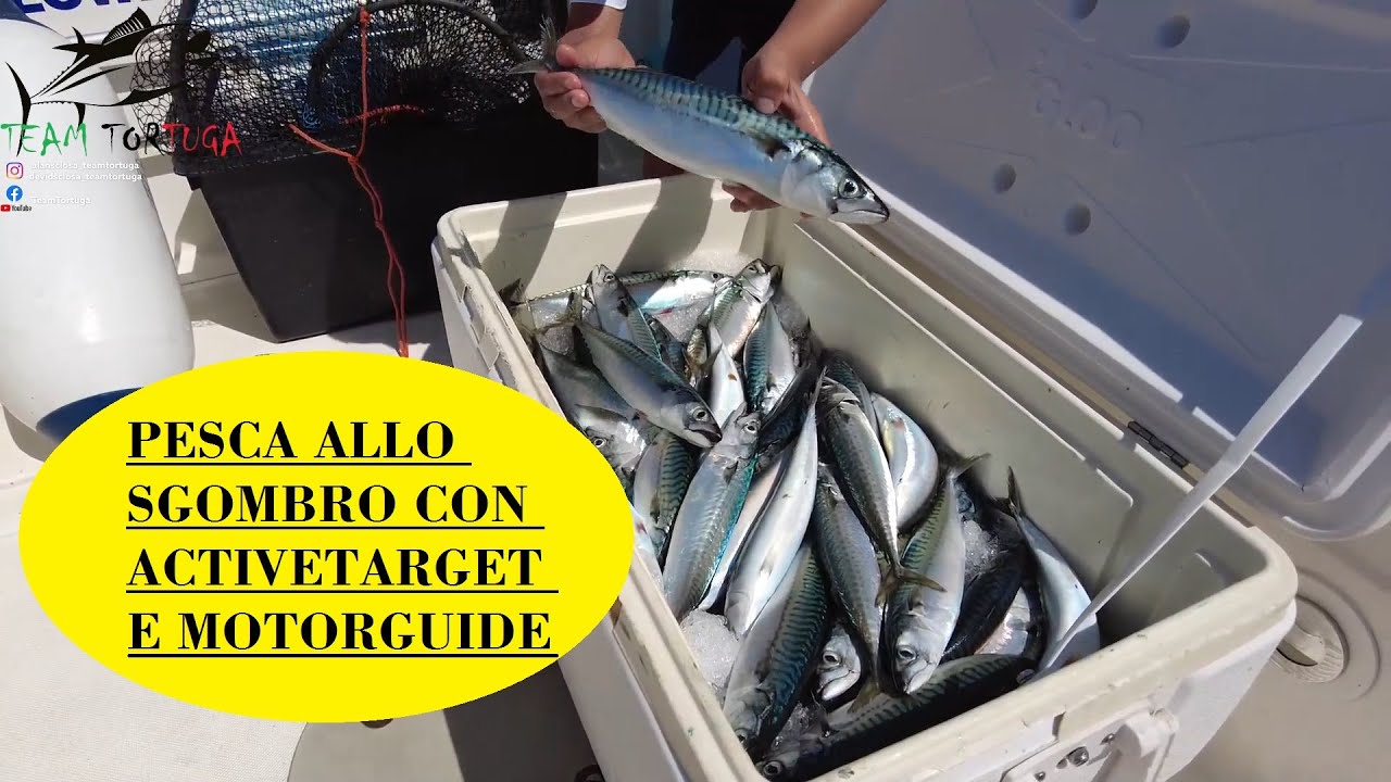PESCA ALLO SGOMBRO CON ACTIVETARGET E MOTORGUIDE