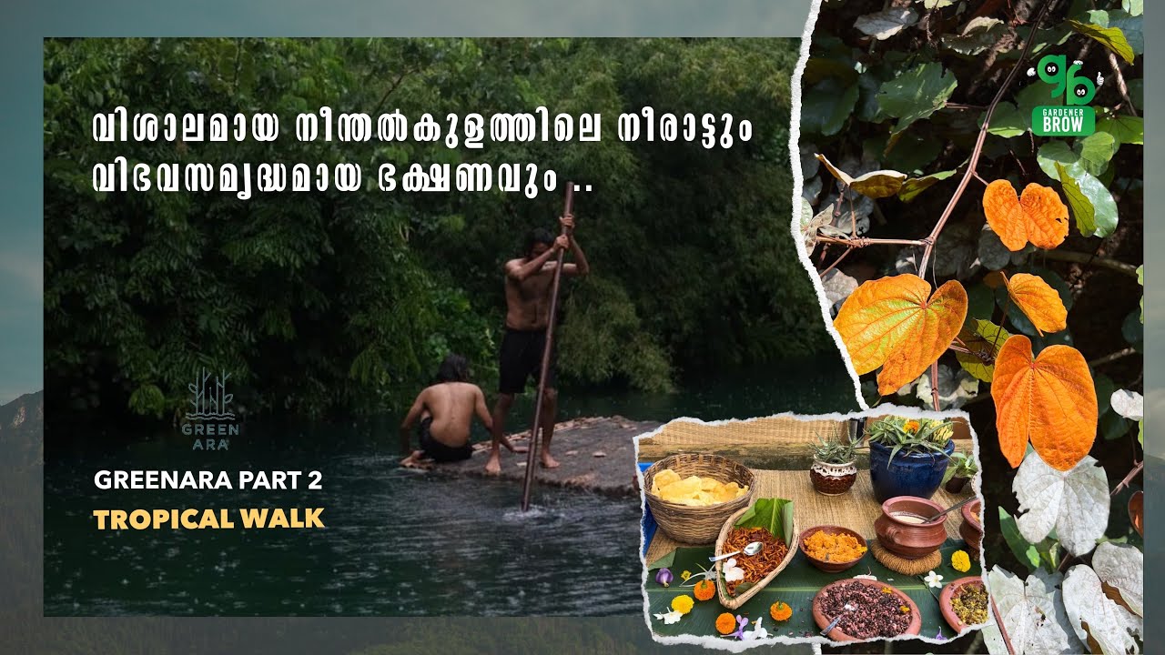 GREENARA |  PART-2 | വിശാലമായ കുളത്തിലെ നീരാട്ടും വിഭവസമൃദ്ധമായ ഭക്ഷണവും .. | Gardener_Brow