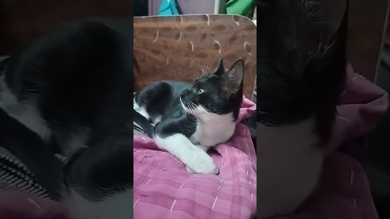 Kali and Bhuri 